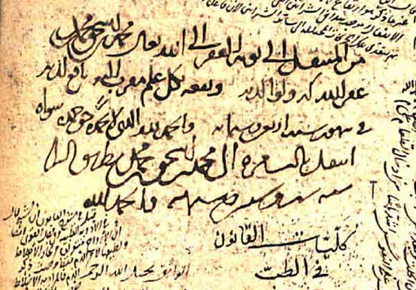 Detail of annotation in the very distinctive handwriting of al-Qunawi